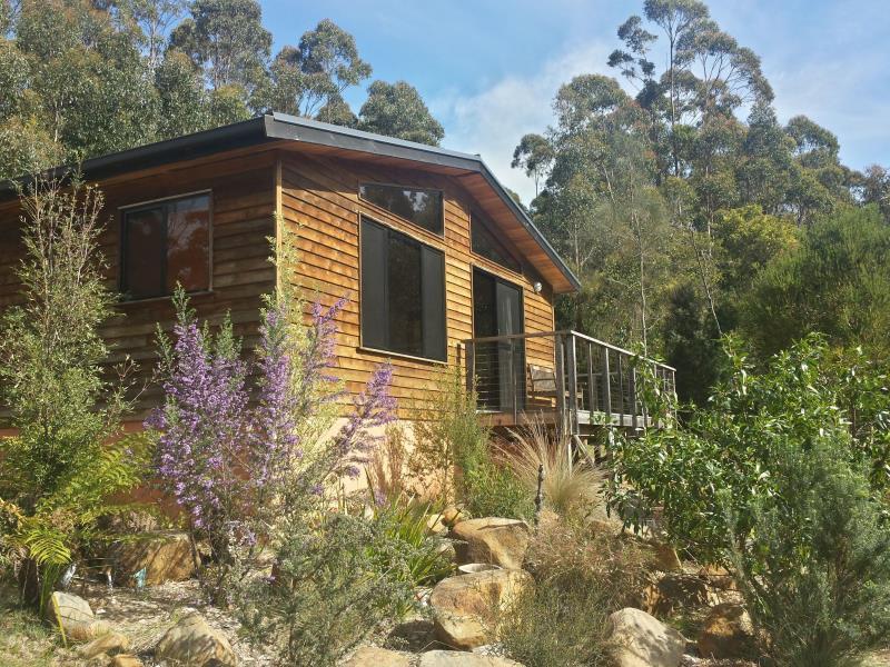 Southern Forest Accommodation Southport Exterior photo