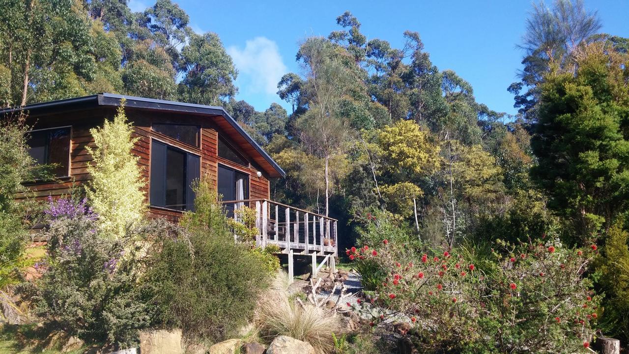 Southern Forest Accommodation Southport Exterior photo
