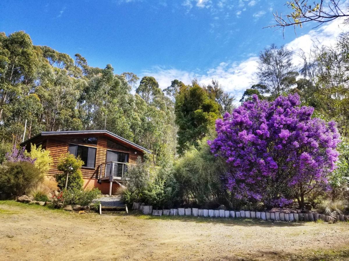 Southern Forest Accommodation Southport Exterior photo